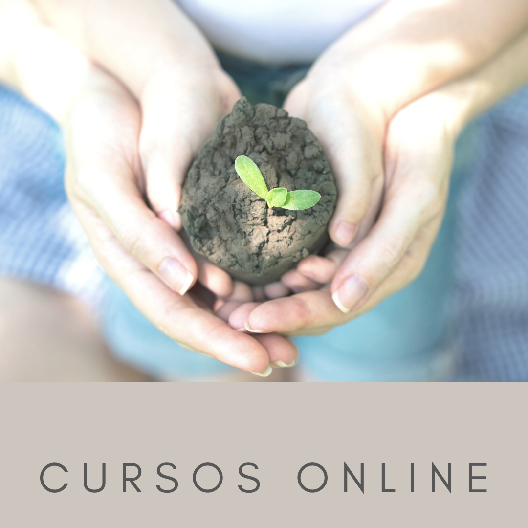 curso online disciplina positiva
